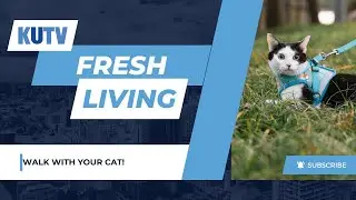 Why More Cat Owners Are Embracing Leash Training