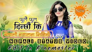 Fulai Fula Dinchhau Ki Nepali Status | Kinemaster Video Editing | Female Version | Nepali Status |