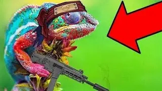 Une bonne barre de rire en Battle royal