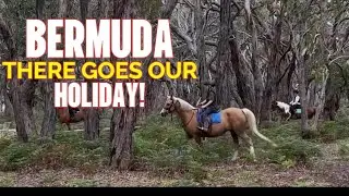 THERE GOES OUR HOLIDAY TO BERMUDA