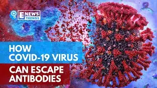 How COVID-19 Virus Can Escape Antibodies