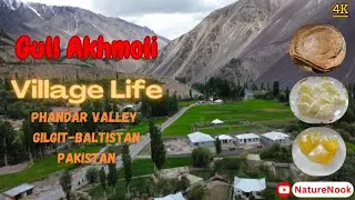 Visit Of Gull Akhmoli Village, Phandar, Gilgit Baltistan, Pakistan  | Touring Pakistan | Arieal View