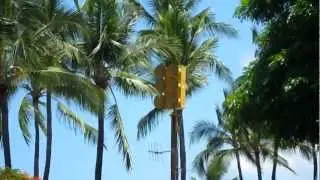 Federal Signal EOWS 612 Kahalu'u Beach Park 8/1/11
