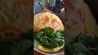 🍳 Breakfast Egg Wrap Quesadilla 🌯🥓 | #keto #quesadillas #ketobreakfast