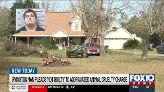 Irvington man pleads not guilty to stabbing dog to death