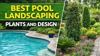 Swimming Pool Landscaping | Plant Selections | Clean, Safe and Sensible Pools