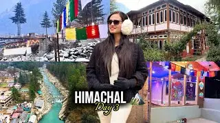 Himachal Pradesh Day 3 | Beautiful Morning Views, Bonfire Night & Peaceful Stay 🌄🔥