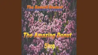 The Amazing Donut Shop