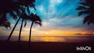 🎧EDM Tropical house「Tropical Mirage」