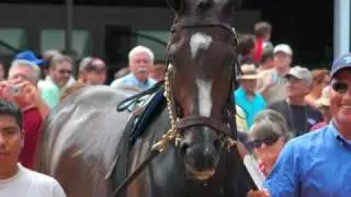 Falling in Love with Rachel Alexandra at the Haskell Invitational
