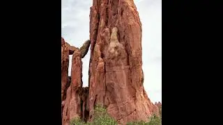 Gnomes in Rocks & Trees