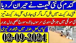 today new Galla mandi rates | Galla mandi rates | rates update || Apna Kisan Pakistan