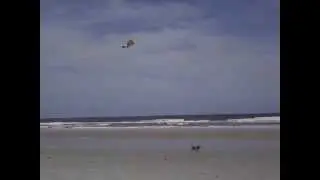The Kite Flying Dog