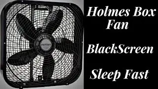 Fan White Noise BLACK SCREEN 💤 Sleep Sounds 10 Hours