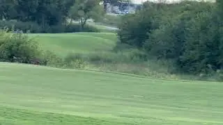 Par 3 iron - NTPGA Srixon and Nike Fall Masters, Mansfield National GC