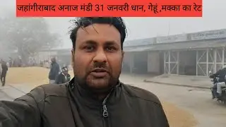 जहांगीराबाद अनाज मंडी ,31 जनवरी ,दिन शनिवार धान,मक्का ,गेहूं का रेट// vikash vlogs tiger// 