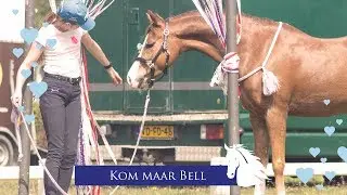 Bixiedag 2019 -weekvlog- * Hart voor Paarden *
