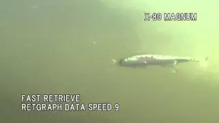 Megabass&reg; X-80 MAGNUM SW - Depesca.com