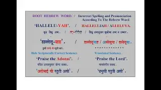The Hebrew  Root  Words, Hallelu-Yah. & Praise the Adonai | OBHW