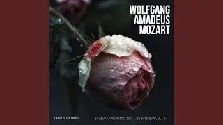 Piano Concerto No.1 in F major, K.37: I. Allegro