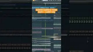 Martin Garrix & Third Party - Carry You | FL Studio Remake