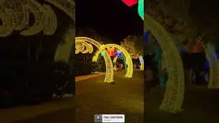 Christmas lights #huntervalley #christmaslights #sydney #australia #food #familyparty 🥰🥰🥂🥂