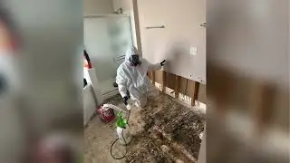 Effortless Water Damage Repair & Mold Treatment | Chicagoland Water Medics 24/7 Service