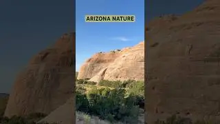 ARIZONA NATURE #arizona #nature #YouTubeHighFive #shorts #short #shortvideo #shorts #beautiful