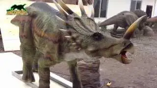 Our Life Size Styracosaurus Model-Realistic Dinosaur Prop