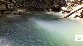 Most Beautiful Place Kaluwala - Back To Nature With Chami
