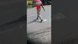 🦓 #pedestriancrossing