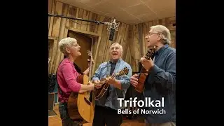 Bells of Norwich