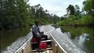 Gabon River Africa 