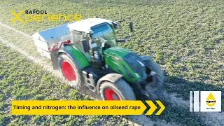 RAPOOL Xperience: Timing and nitrogen: the influence on oilseed rape