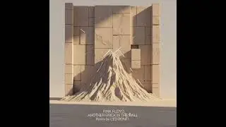 Pink Floyd &ndash; Another Brick In The Wall (Ced Bonfi Remix)