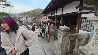 노노미아 신사