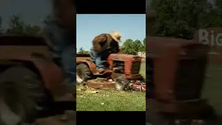 Bigfoot farming goes off the rails fast 😭💥 #Bigfoot #FarmTok #AIFail #FunnyShorts