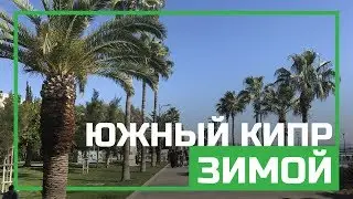 Южный Кипр зимой - Ларнака, Лефкара, что посмотреть, цены, погода, советы