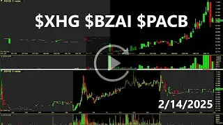 $XHG $BZAI $PACB Top Stocks Replay & Review
