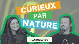Curieux par Nature - &Eacute;pisode 1: Le monde des insectes
