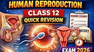 Human Reproduction Class 12 | Quick Revision for Boards 2026 | CBSE Biology Chapter 2
