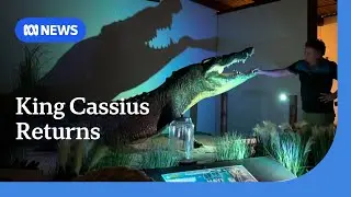 Largest croc in captivity returns to Green Island as taxidermy | ABC NEWS
