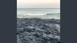 Dark Motion