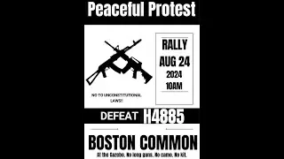 Grave Issues Within The 2A Community - Conclusion