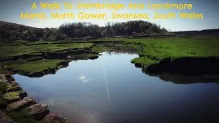 Stembridge And Landimore Marsh Walk