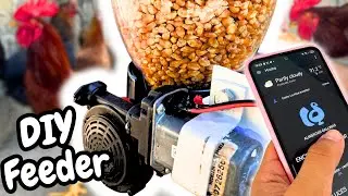 ALIMENTO mis GALLINAS desde el CELULAR 😱🐔 Tecnología Rural🚀