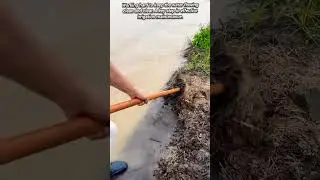 Farmers Use a Simple Rake to Maintain Irrigation Channels Effectively.