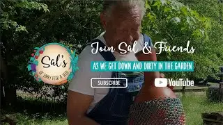 Sal's Ol' Timey Feed & Seed YouTube Channel Announcement