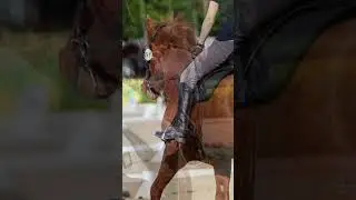 Charlotte Dujardin is a Disgrace to Equestrian Sports #shorts #shortsvideo