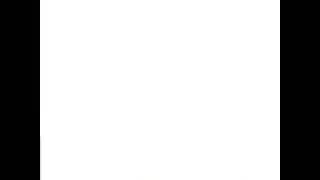 Pure White Background | Clean, Seamless, and High-Quality Video Backdrop